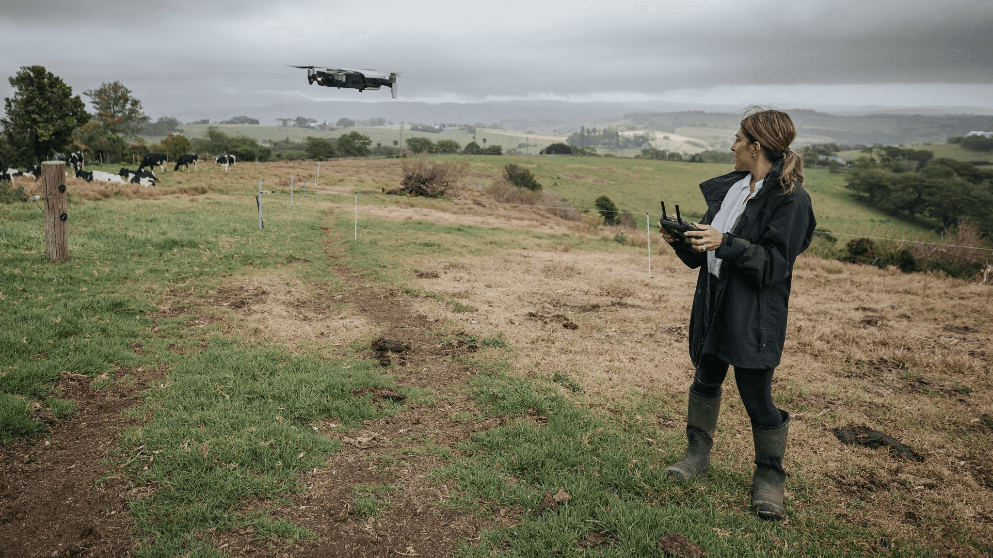 A woman operates a drone with a remote control in a lush, expansive countryside, featuring grazing cows, rolling hills, and an overcast sky.